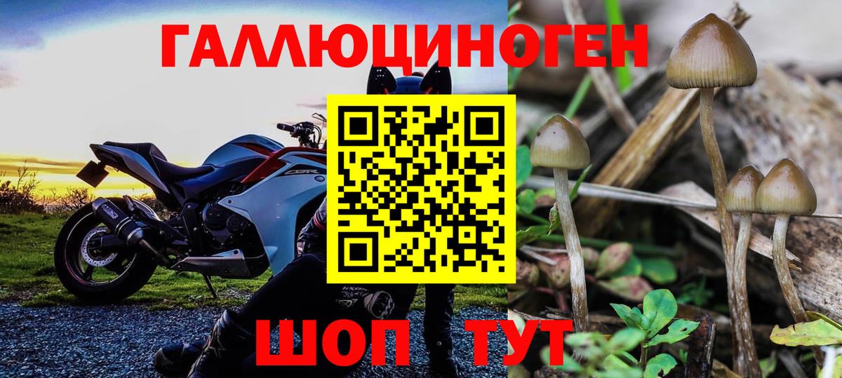 Бошки Шишки  Вход с VPN  Советский  Гашиш  Меф   Cocaine  ЭКСТАЗИ 
